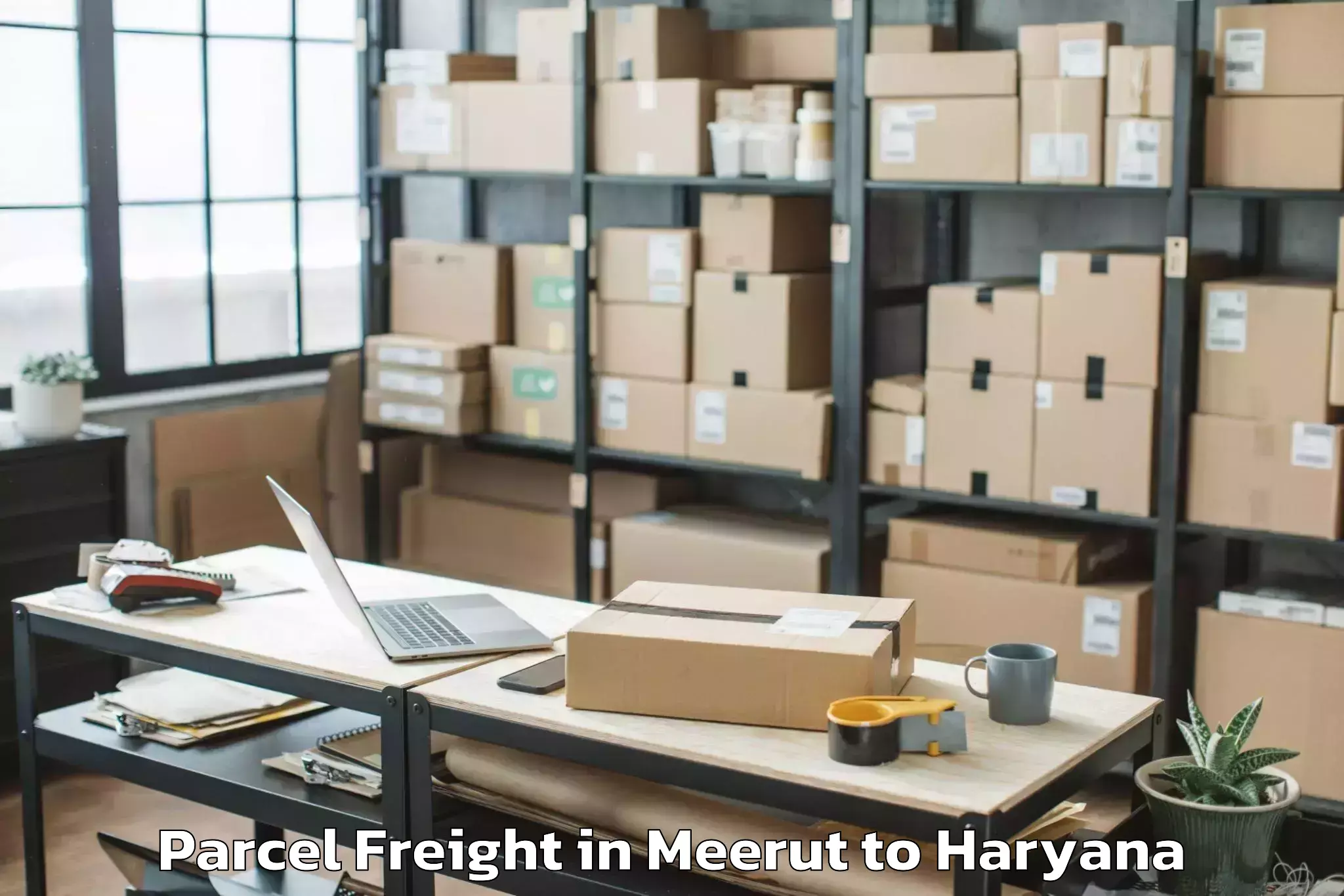 Book Your Meerut to Uklana Parcel Freight Today